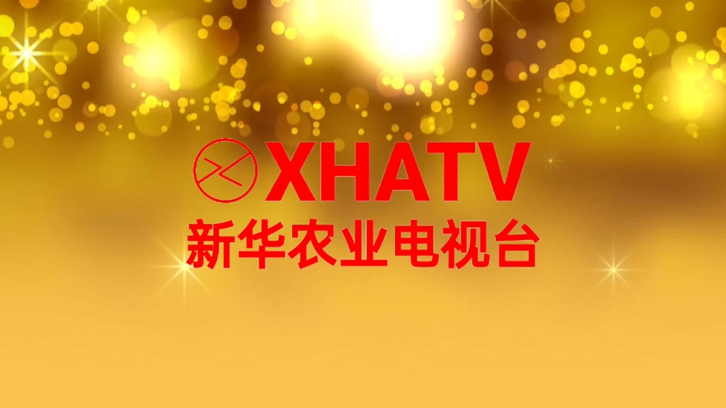 tg频道大全的简单介绍
