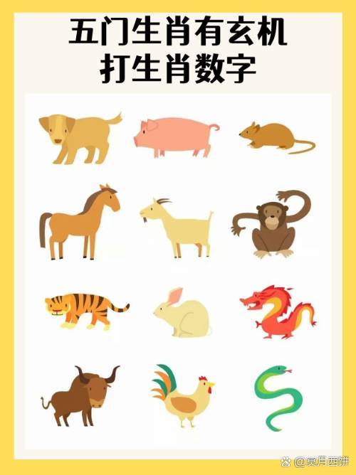 包含6合玄机打最佳数字的词条
