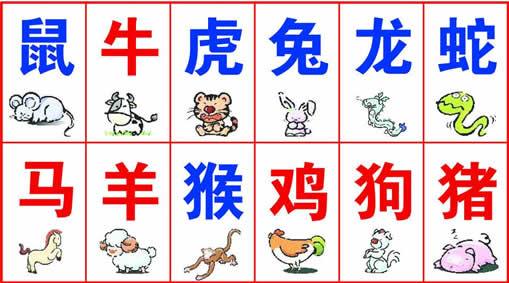 半条猜一准确生肖是什么-半条猜一准确生肖是什么生肖