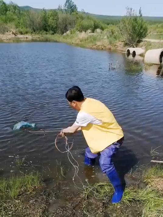 哪里能捕鱼-哪里捕鱼金币可以换