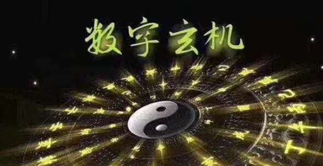 细羊足玄机指一数字-细羊足玄机是什么动物