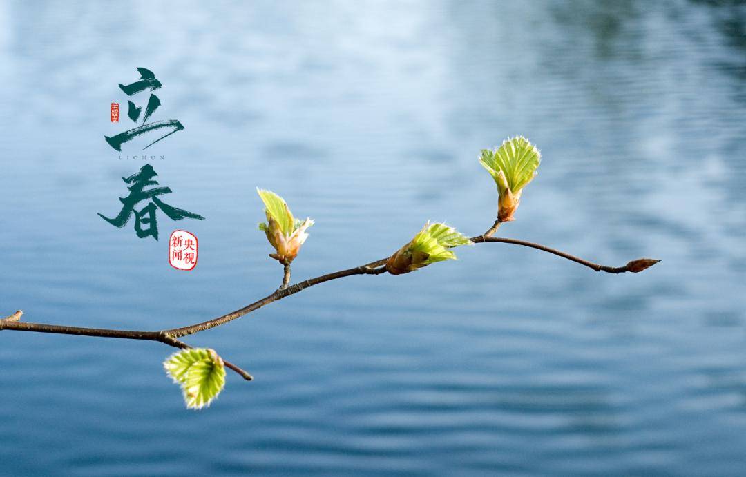 立春打一准确数子-立春打一生肖或一数字