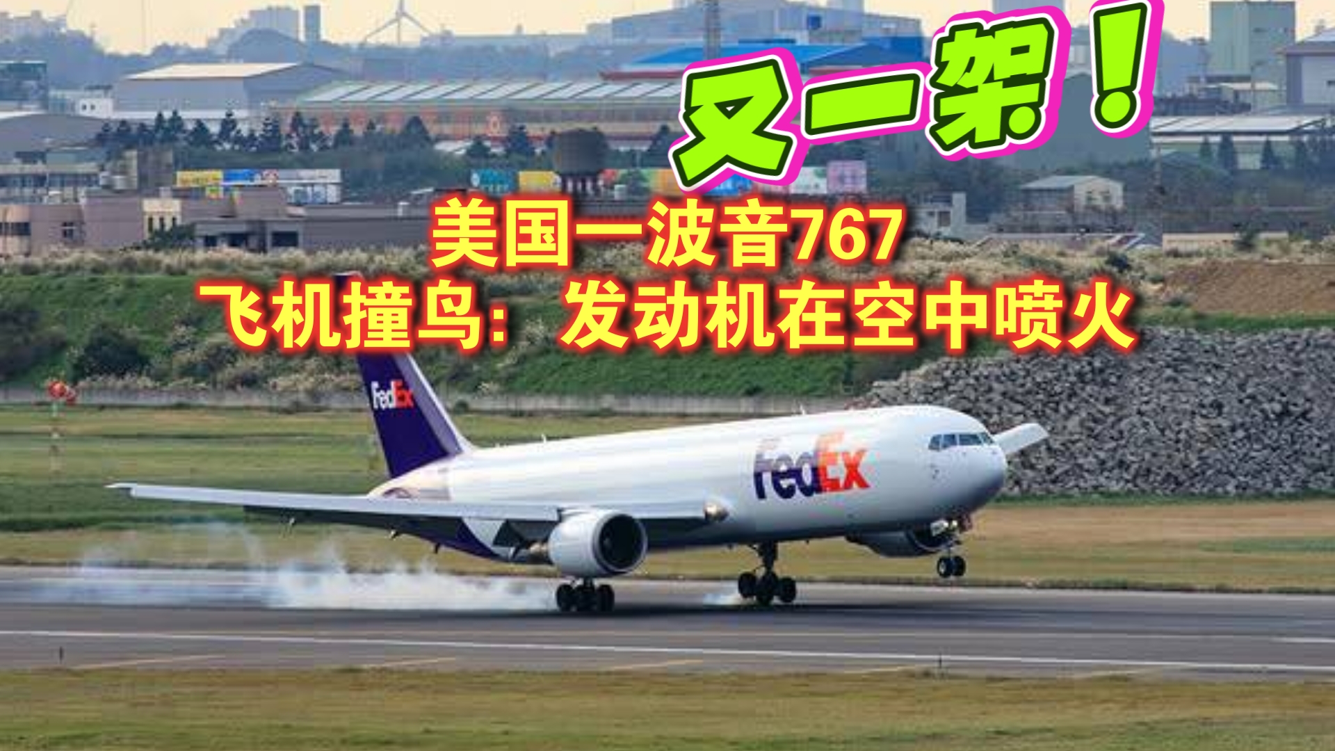 又一波音飞机与鸟相撞后迫降-鸟语飞机相撞引起机毁人亡的原因