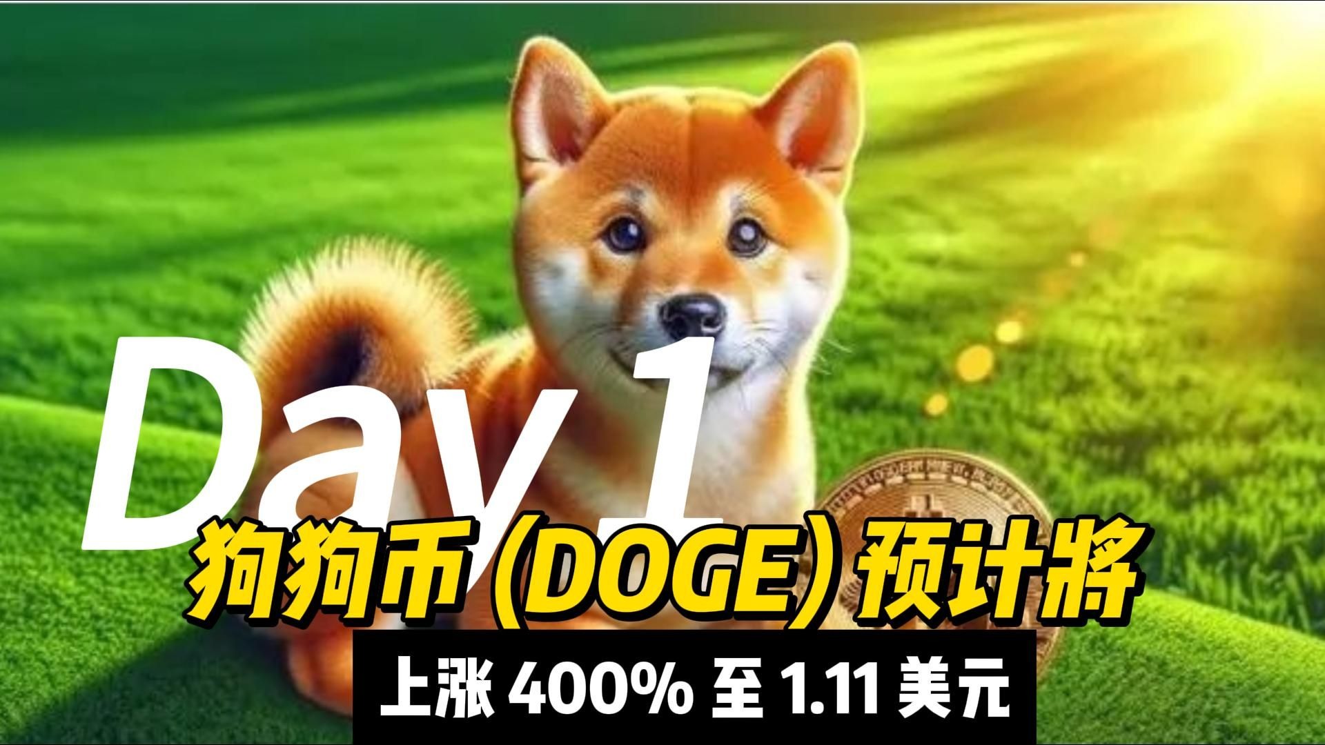 狗狗币美元价格-狗狗币美元价格走势