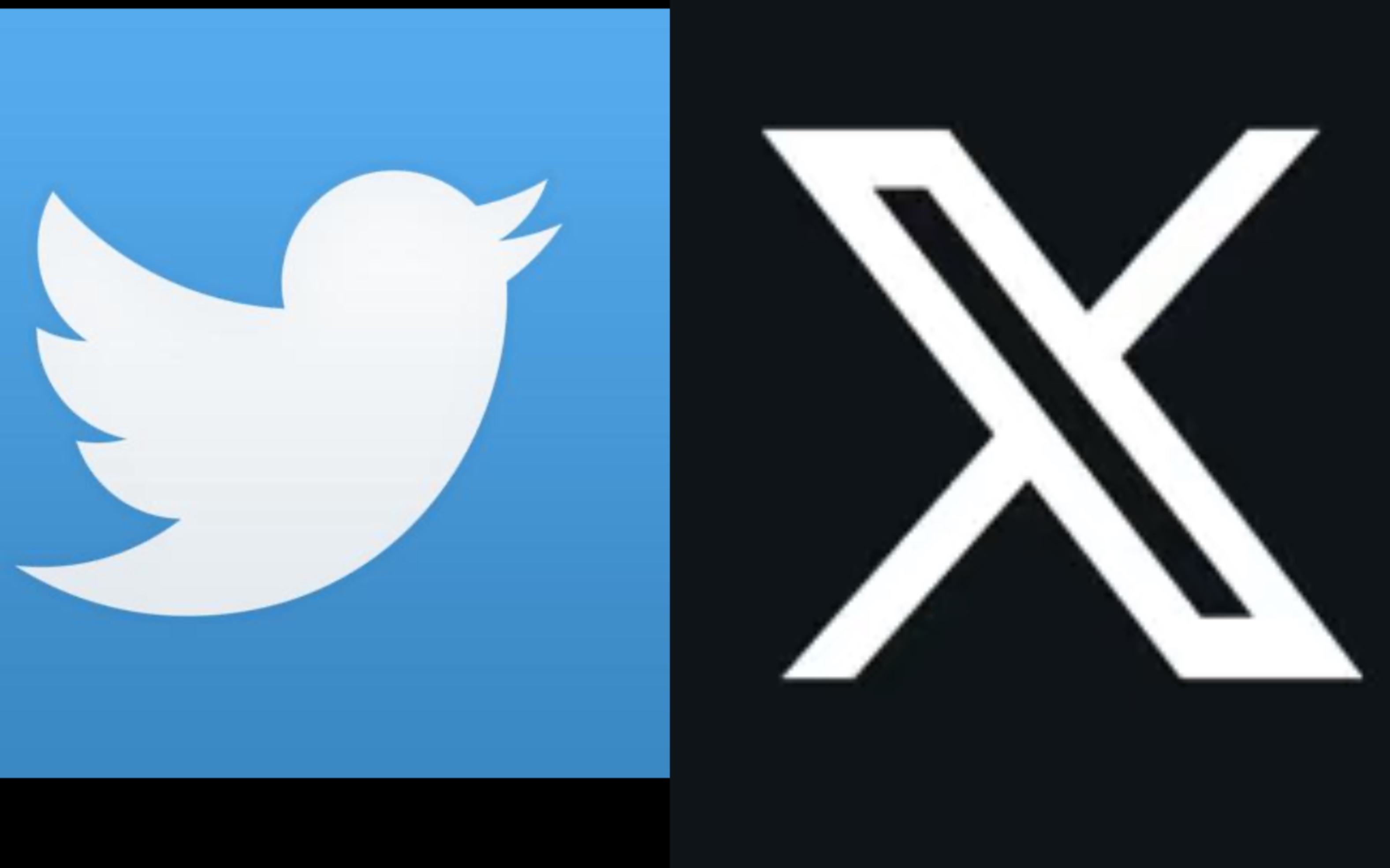 twitter官网入口-twitter官网入口下载免费