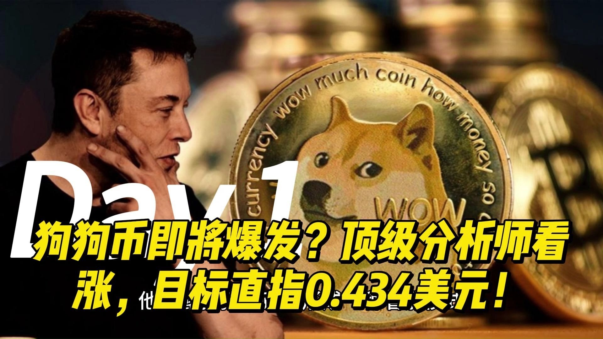 狗狗币涨幅超过一万倍怎么算的的简单介绍
