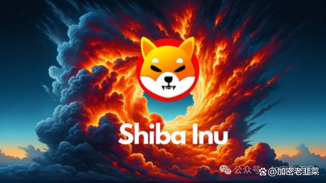 shib-士兵突击电视剧全集免费观看