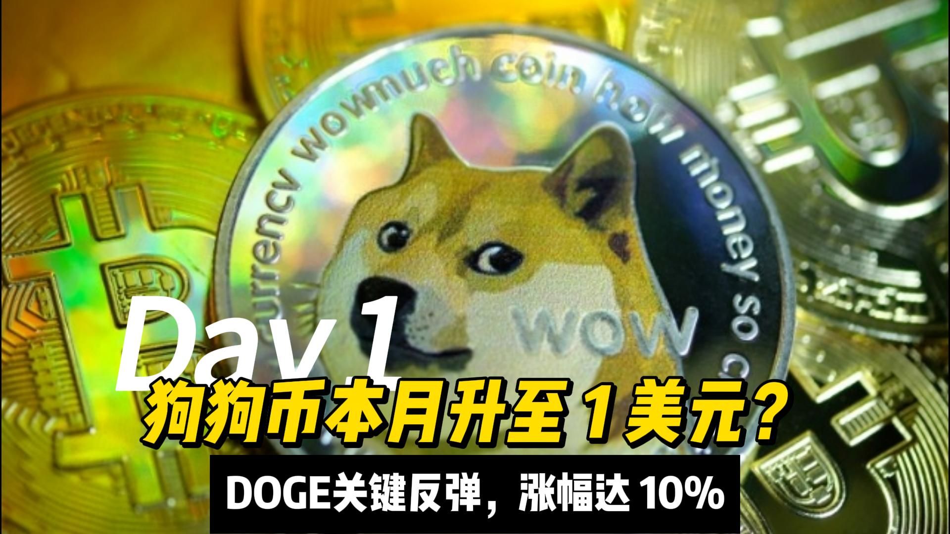狗狗币最新消息及未来发展前景的简单介绍