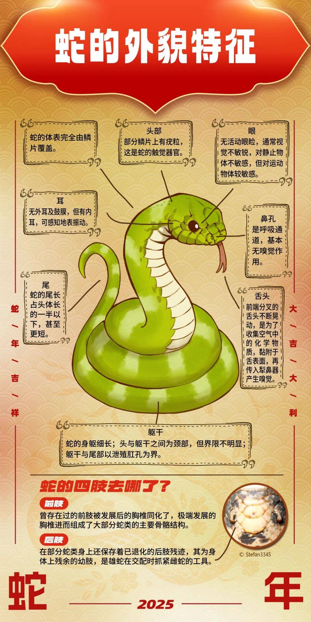 三条蛇仔缠大猪指什么意思-三条蛇仔缠大猪,生逢闰四初十口