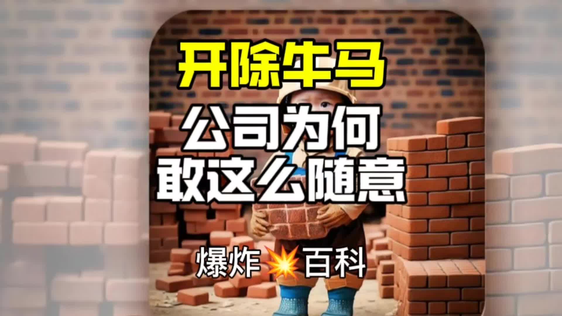 不怕犯法一天挣5万-犯法怎么一天搞到5万