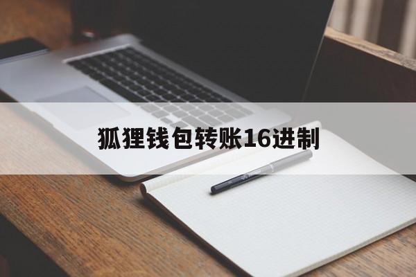 狐狸钱包转账16进制-小狐狸钱包v1000